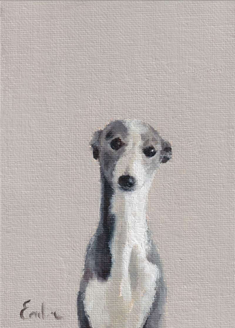 Whippet Greetings Card