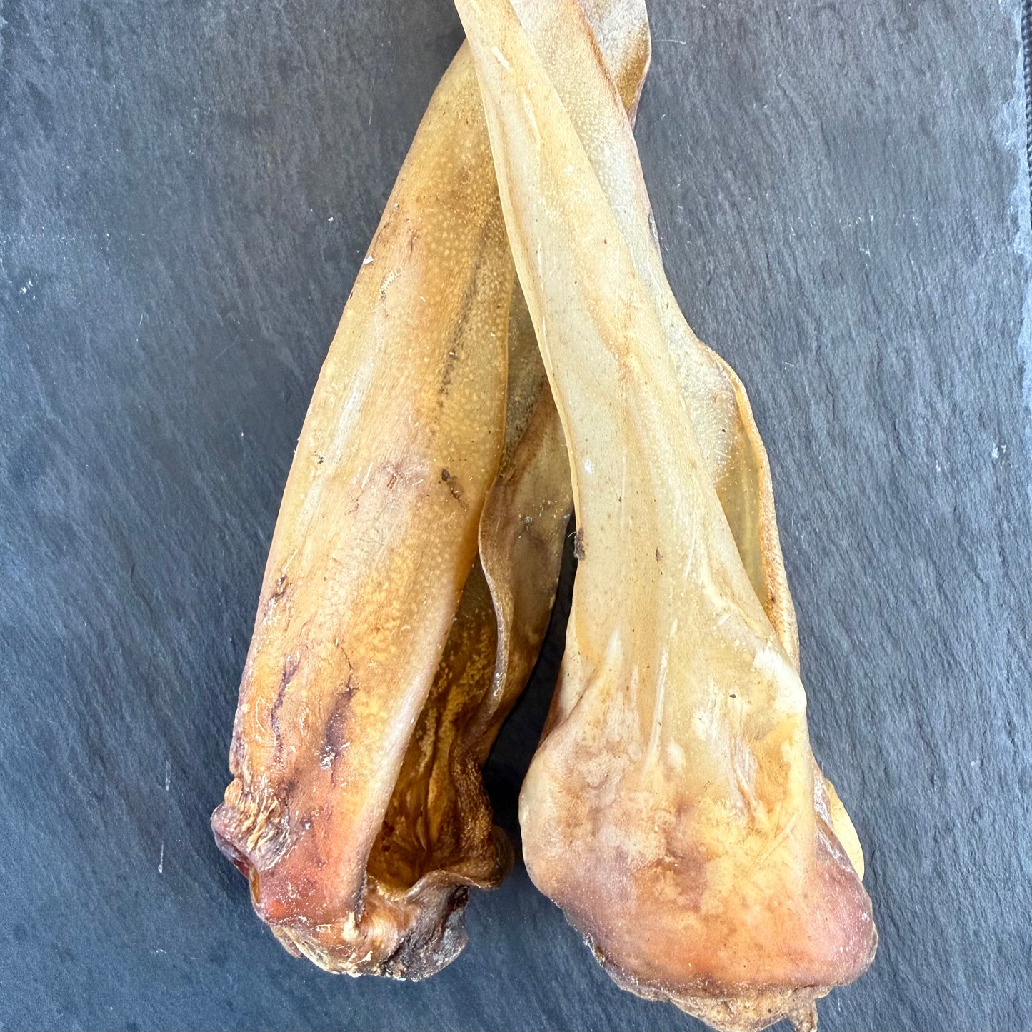 Large Cow Ear