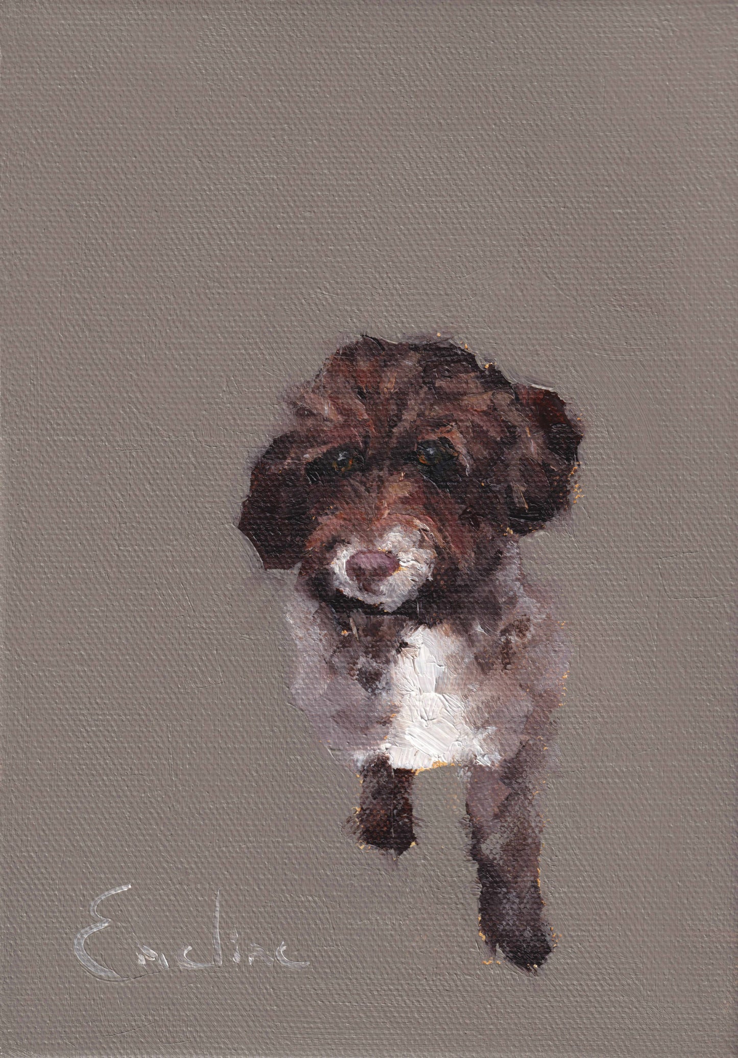 Cockapoo Greetings Card