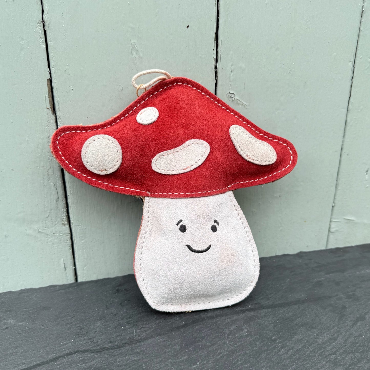 Terry the Toadstool