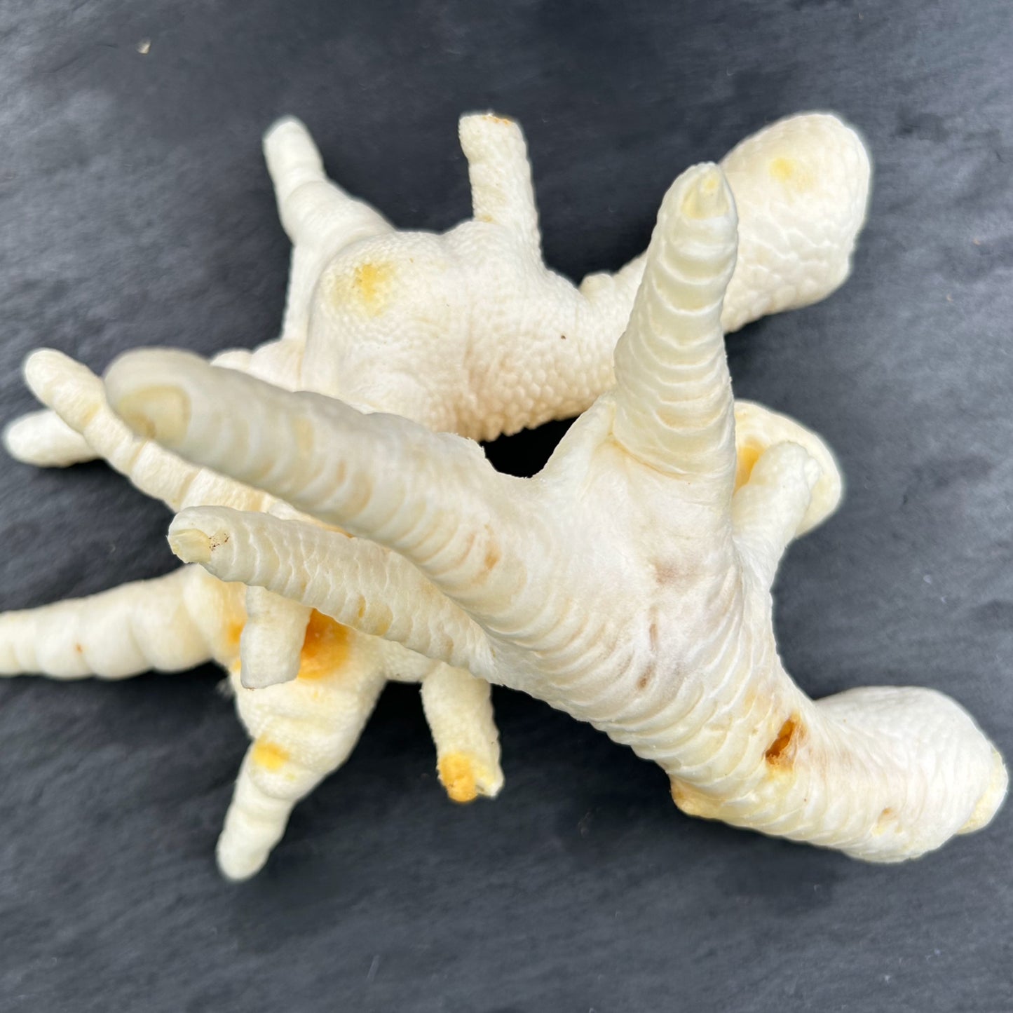 Puffed Chicken Feet
