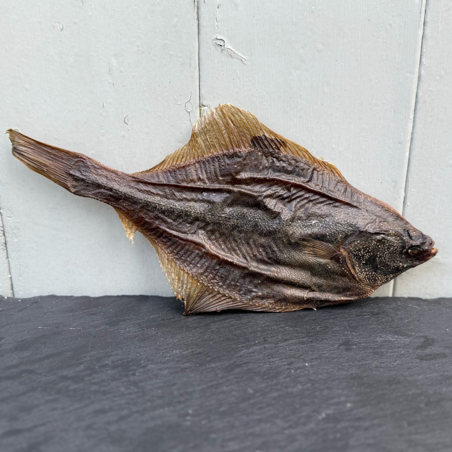Whole Flounder