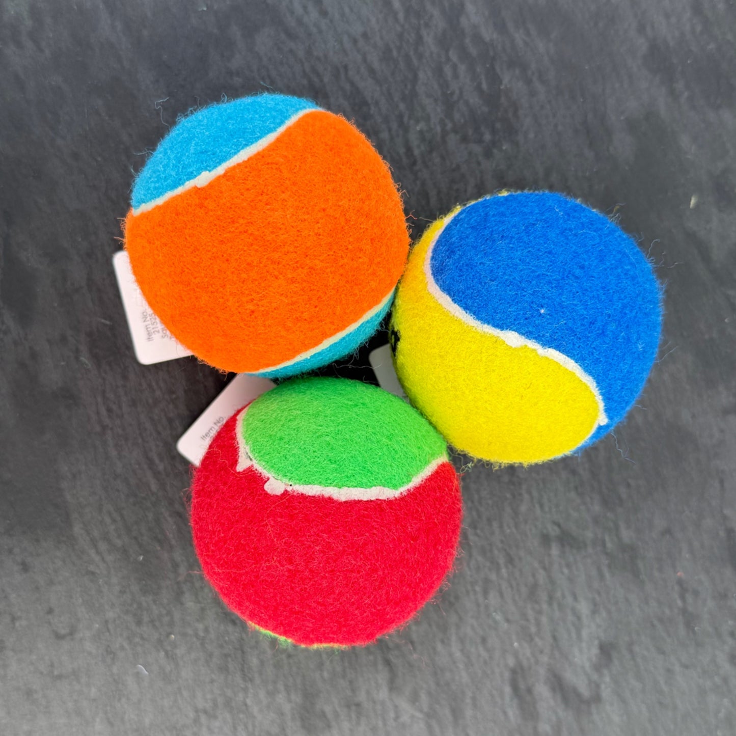 Squeaky Tennis Ball
