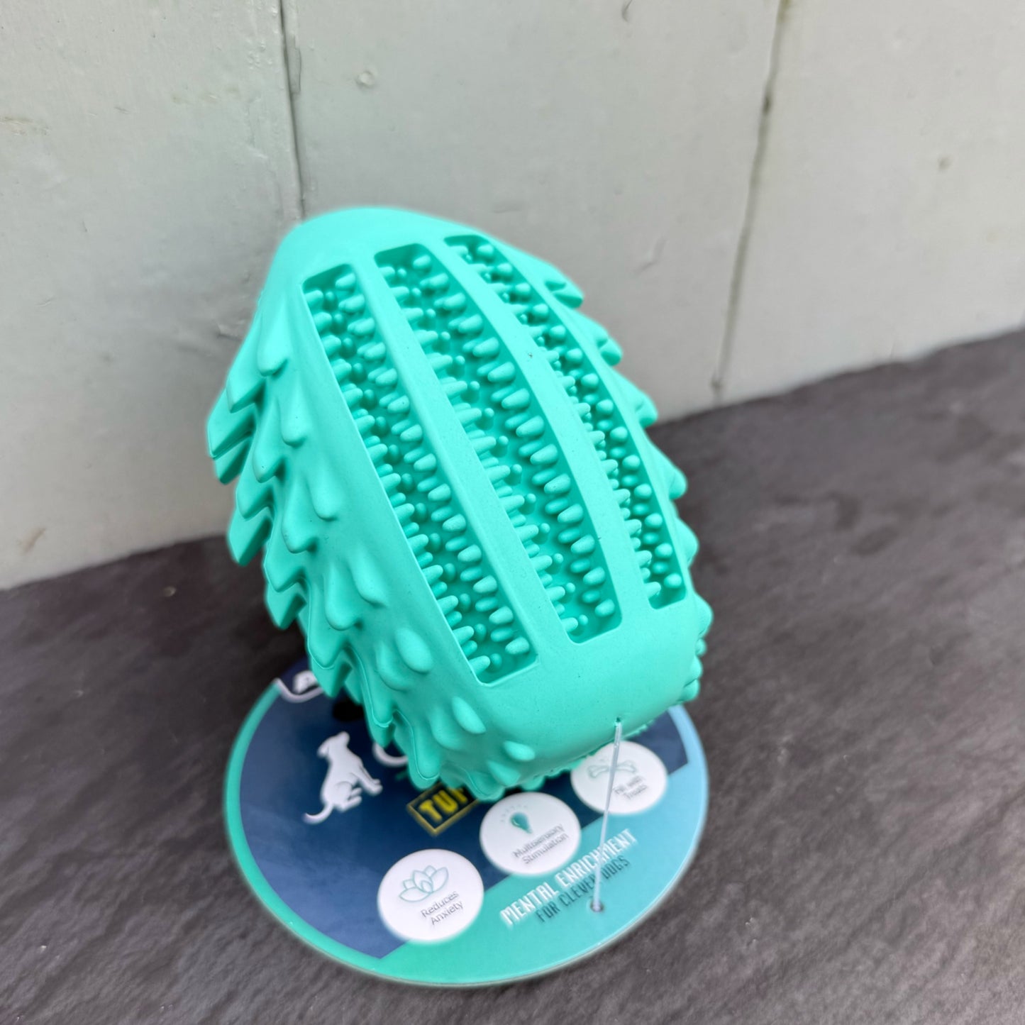 Enrichment Hedgehog