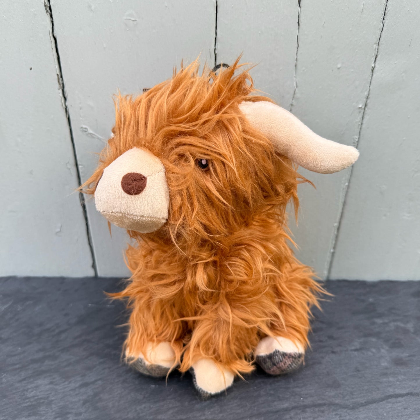 Fergus the Highland