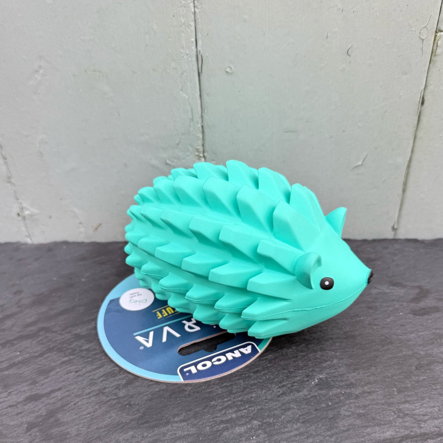 Enrichment Hedgehog