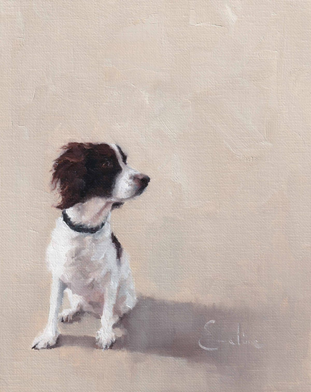 Spaniel Greetings Card