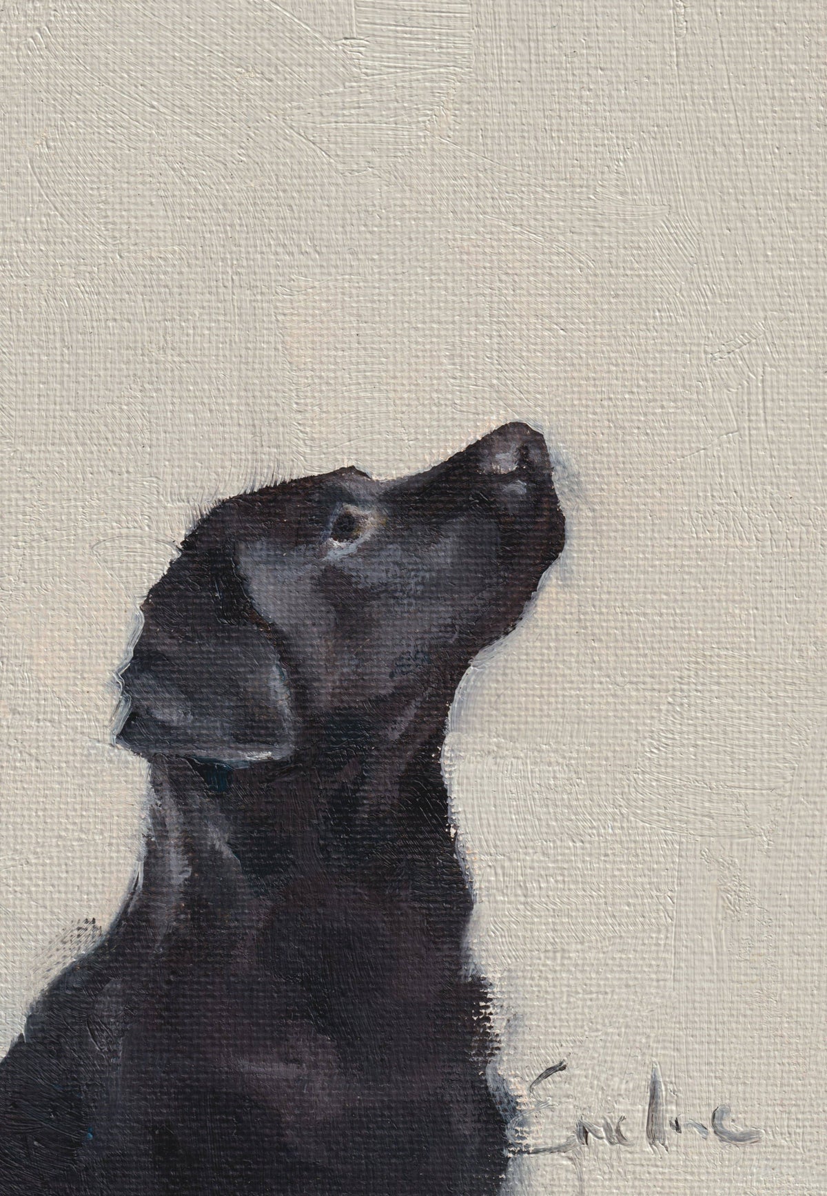 Black Labrador Greetings Card