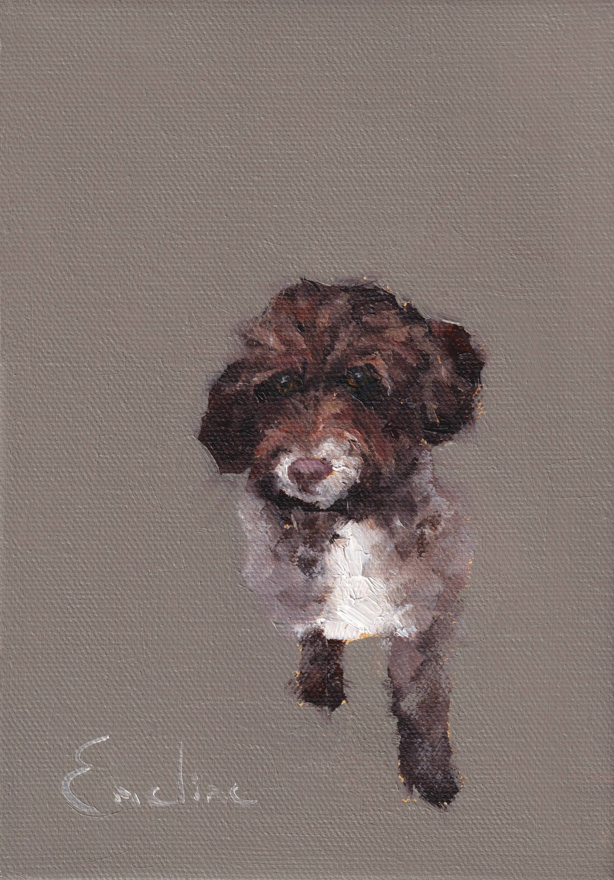 Cockapoo Greetings Card