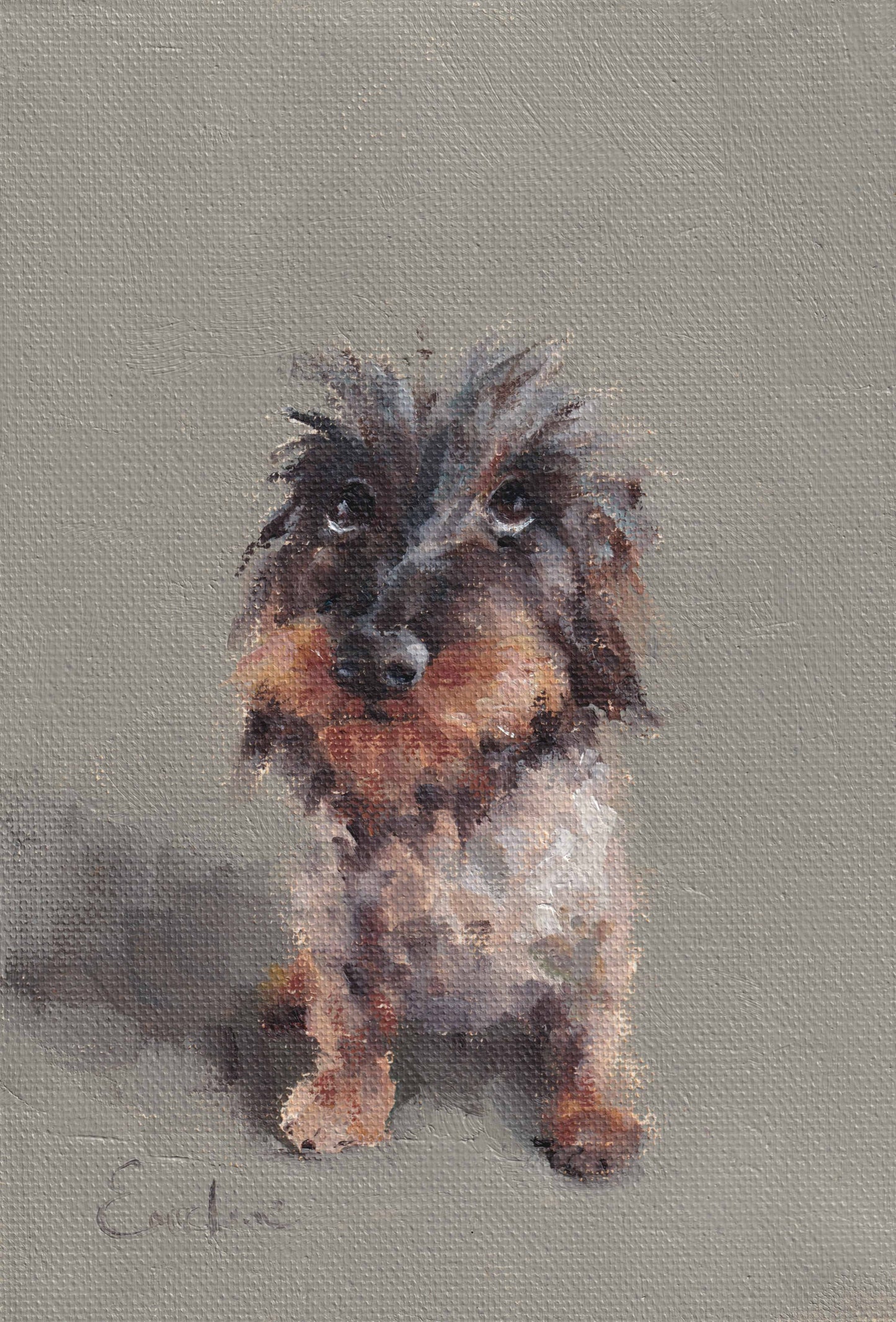 Wire Haired Dachshund Greetings Card
