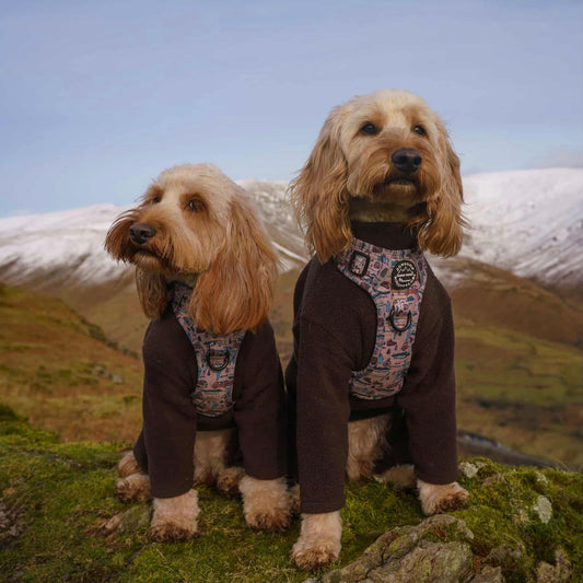 Wainwright Walkies Tough Trails™ Harness