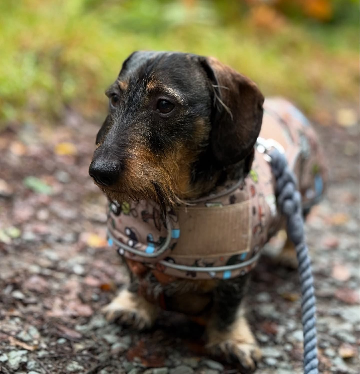 Adventure Awaits Rain Jacket