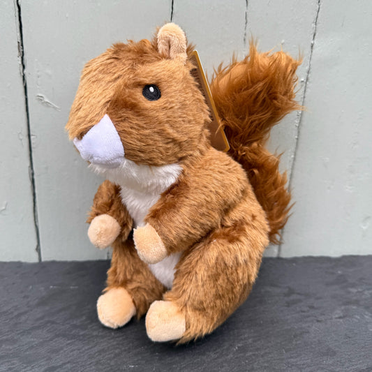 Red Squirrel