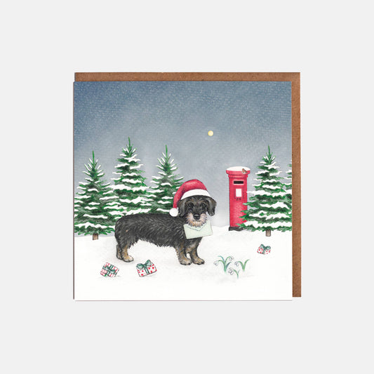 Wire Haired Dachshund Dog & Hat Christmas Card
