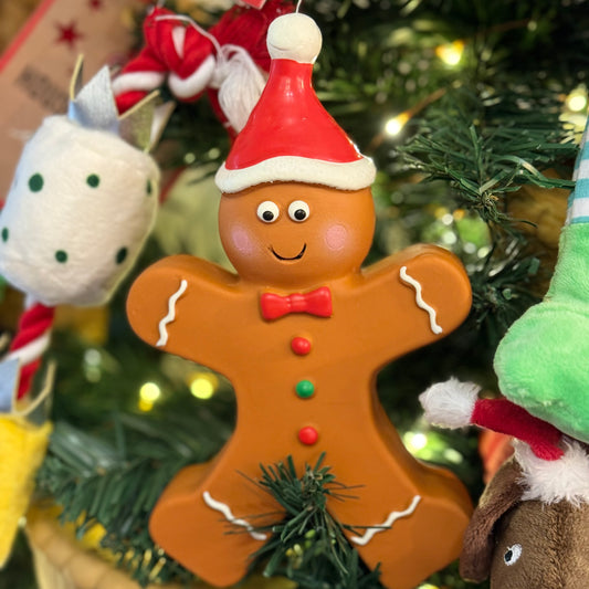 Latex Gingerbread Person