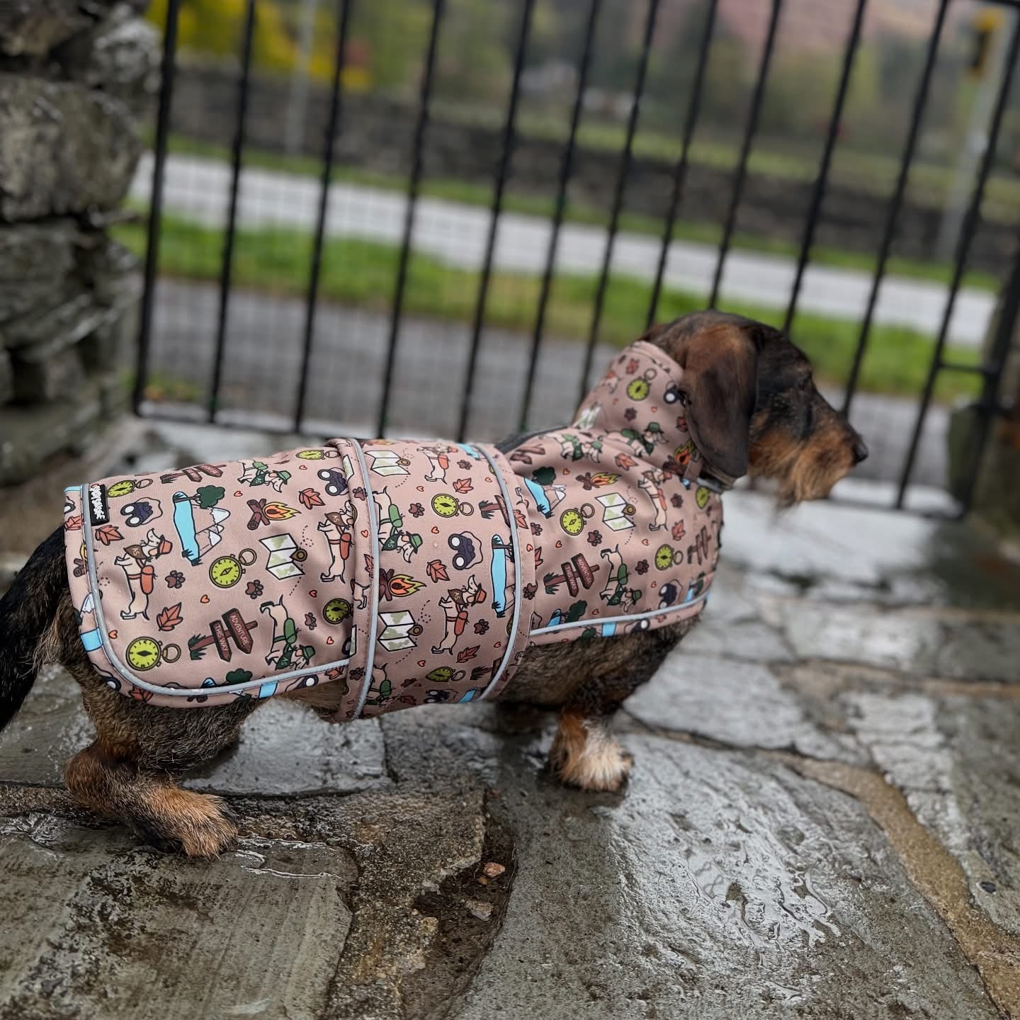 Adventure Awaits Rain Jacket