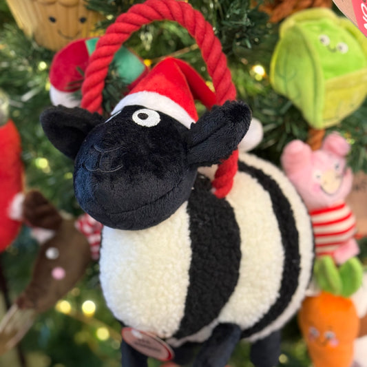 Baa Humbug