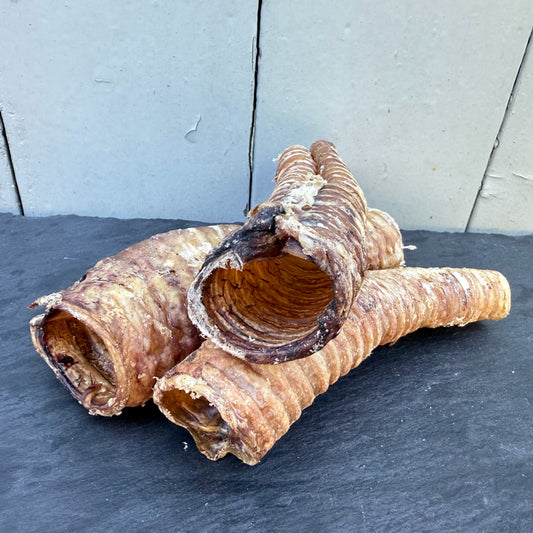 Buffalo Trachea