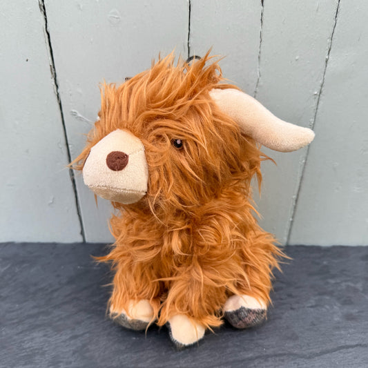Fergus the Highland