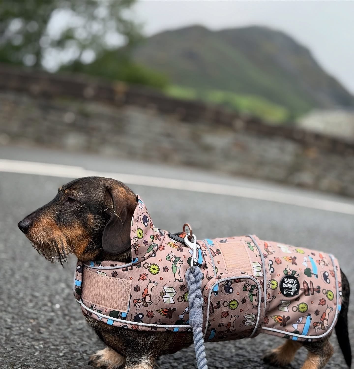 Adventure Awaits Rain Jacket