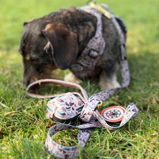 Wainwright Walkies Taupe Trails Lead