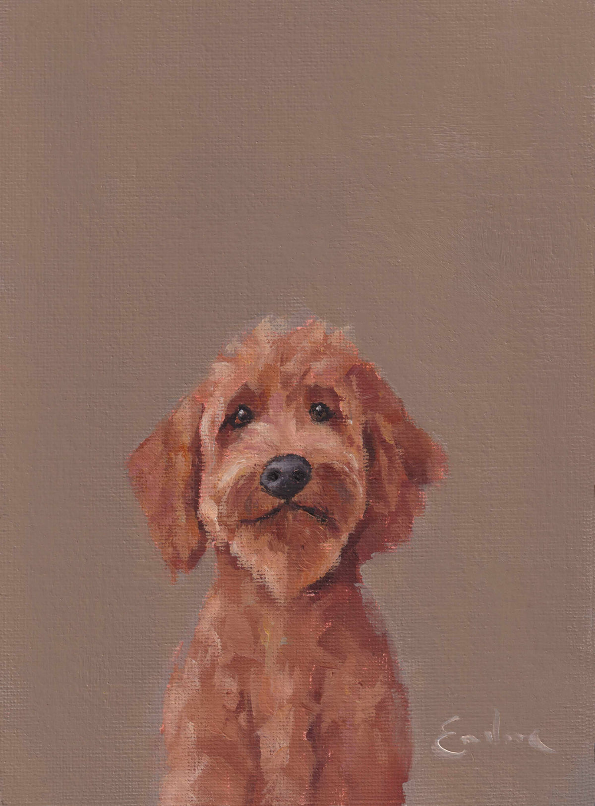 Cockapoo Greetings Card