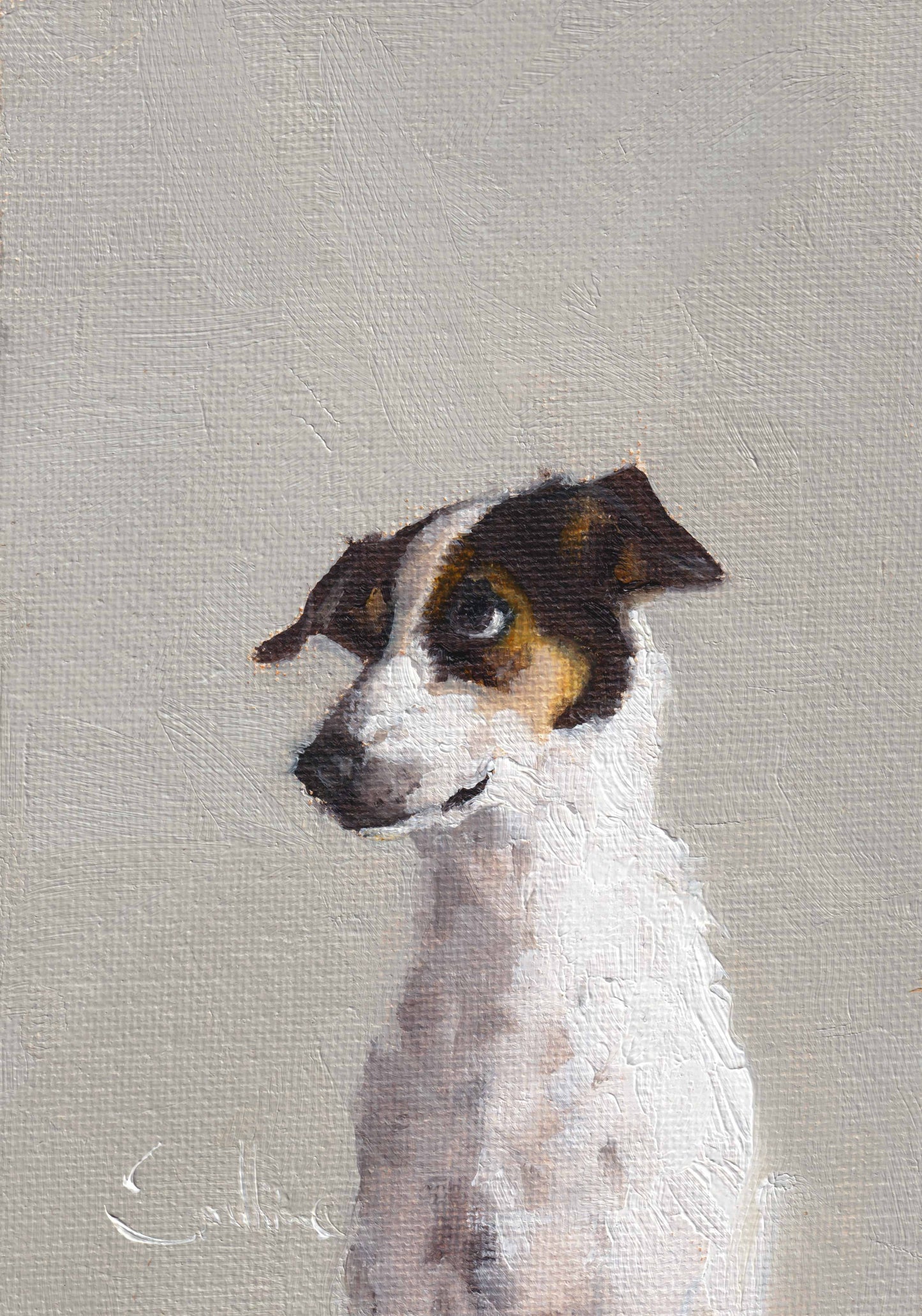 Jack Russell Greeting Card