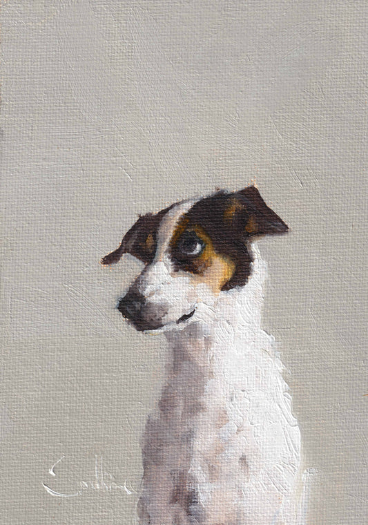 Jack Russell Greeting Card